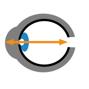 Optische Biometrie Grafik
